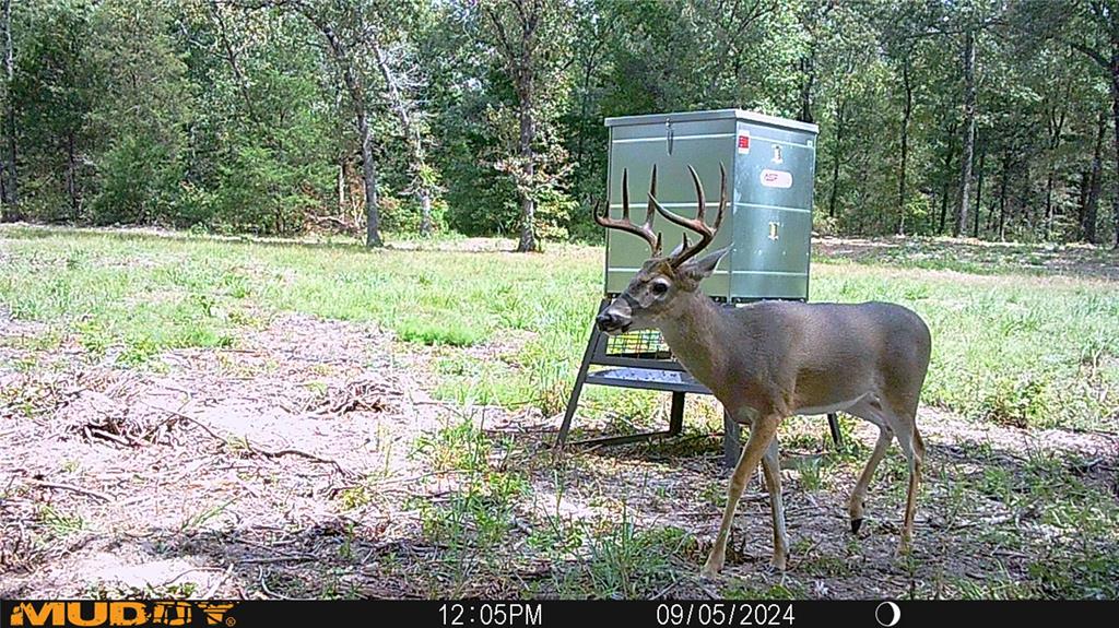 TBD Private Rd 8079 Road