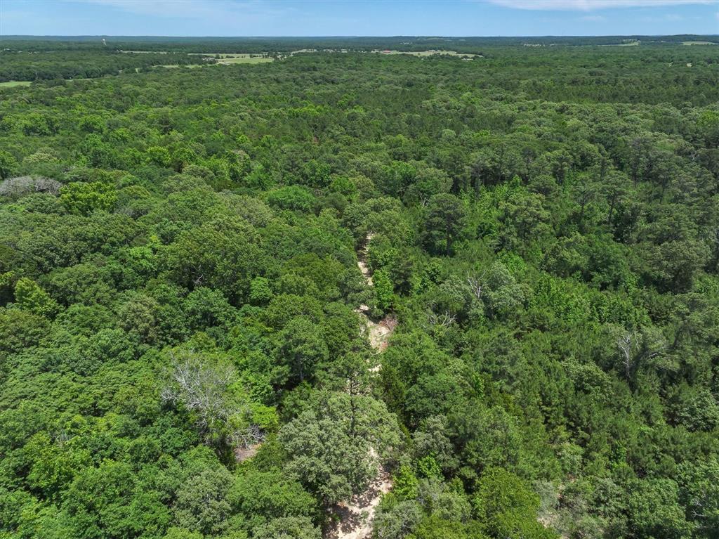 TBD Private Rd 8079 Road