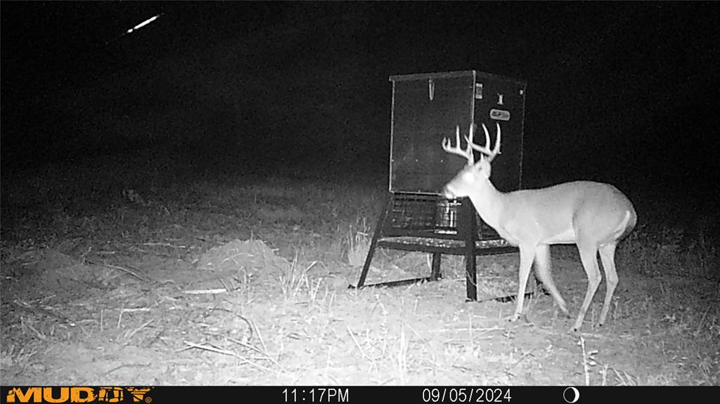 TBD Private Rd 8079 Road