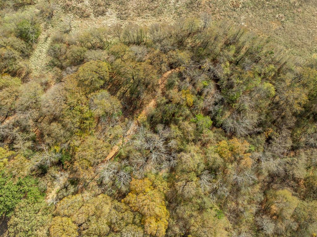 Hidden Crk Ranch Tract 36 - Land