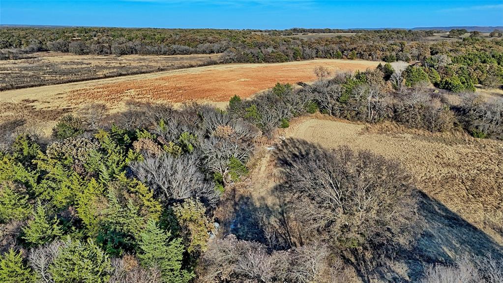 100.68 Acres, R. Rogers Survey, A-859 - Farm