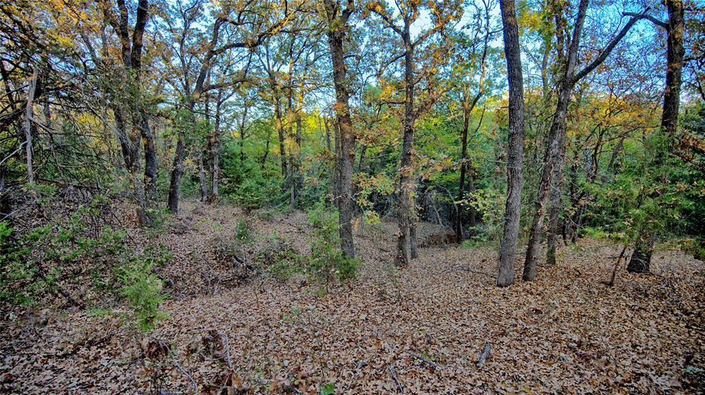 100.68 Acres, R. Rogers Survey, A-859 - Farm