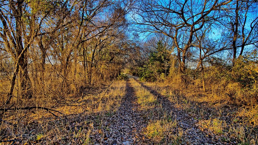 100.68 Acres, R. Rogers Survey, A-859 - Farm