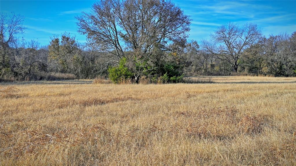 100.68 Acres, R. Rogers Survey, A-859 - Farm