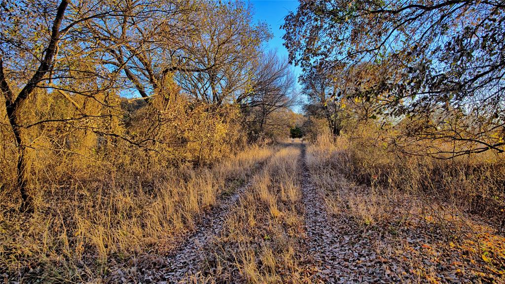 100.68 Acres, R. Rogers Survey, A-859 - Farm