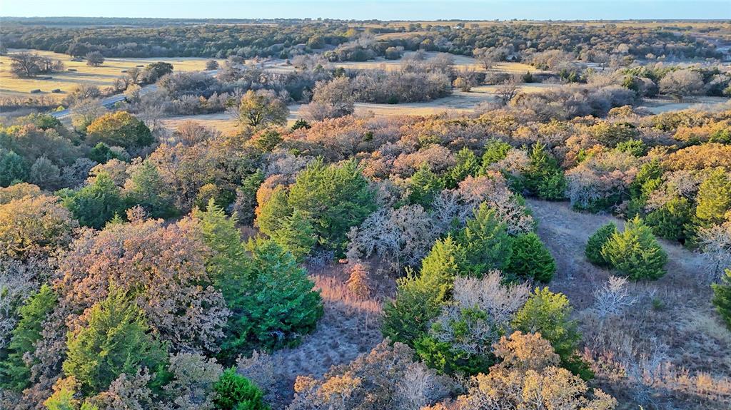 100.68 Acres, R. Rogers Survey, A-859 - Farm