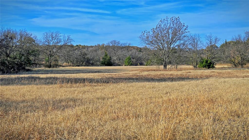 100.68 Acres, R. Rogers Survey, A-859 - Farm