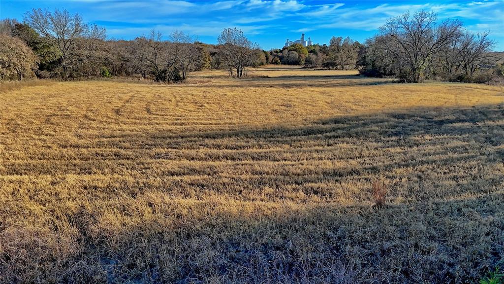 100.68 Acres, R. Rogers Survey, A-859 - Farm