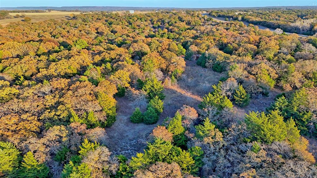 100.68 Acres, R. Rogers Survey, A-859 - Farm