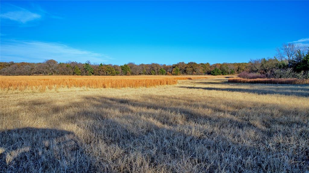 100.68 Acres, R. Rogers Survey, A-859 - Farm