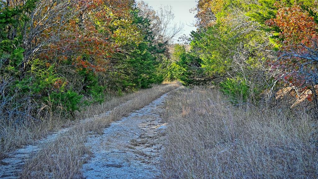 100.68 Acres, R. Rogers Survey, A-859 - Farm