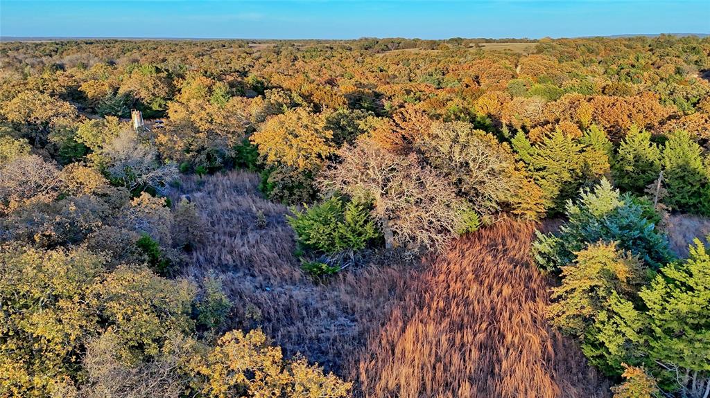 100.68 Acres, R. Rogers Survey, A-859 - Farm