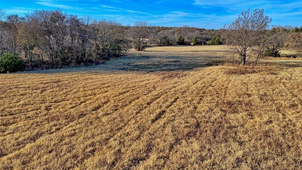 100.68 Acres, R. Rogers Survey, A-859 - Farm