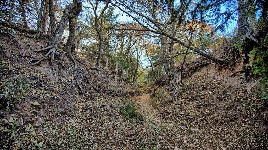 100.68 Acres, R. Rogers Survey, A-859 - Farm