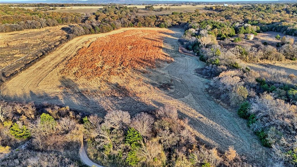 100.68 Acres, R. Rogers Survey, A-859 - Farm