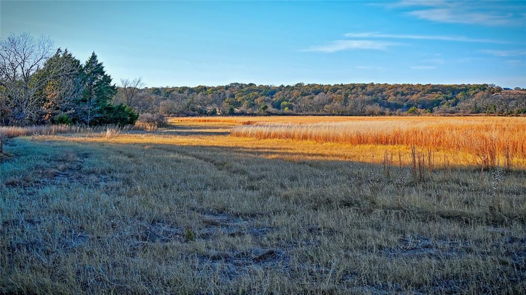 100.68 Acres, R. Rogers Survey, A-859 - Farm