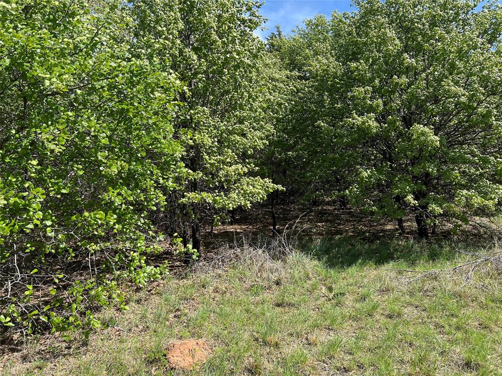 127 Rivercrest Drive