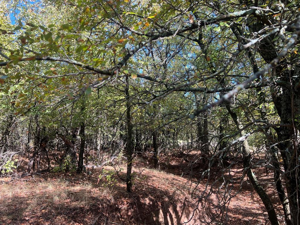 TBD Uselton Road