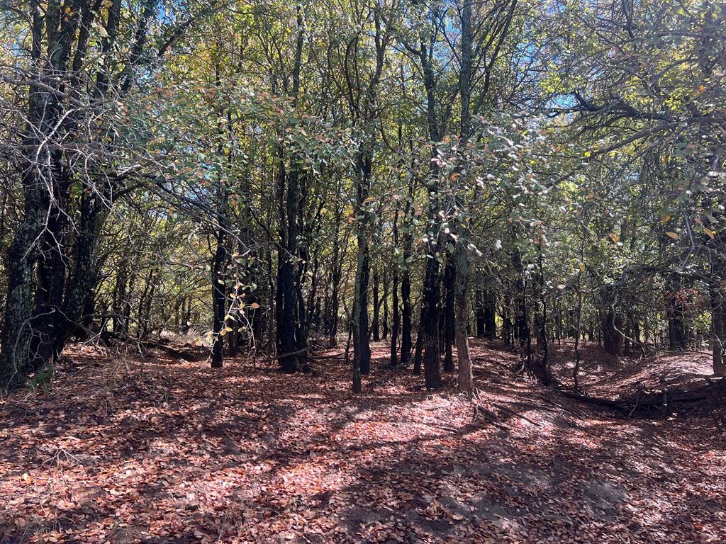 TBD Uselton Road