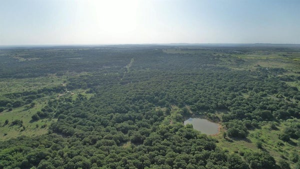 USELTON RD, LOVING, TX 76460 - Image cce4a87d03bd3dc9710f28b8f7da2ba0/397555607