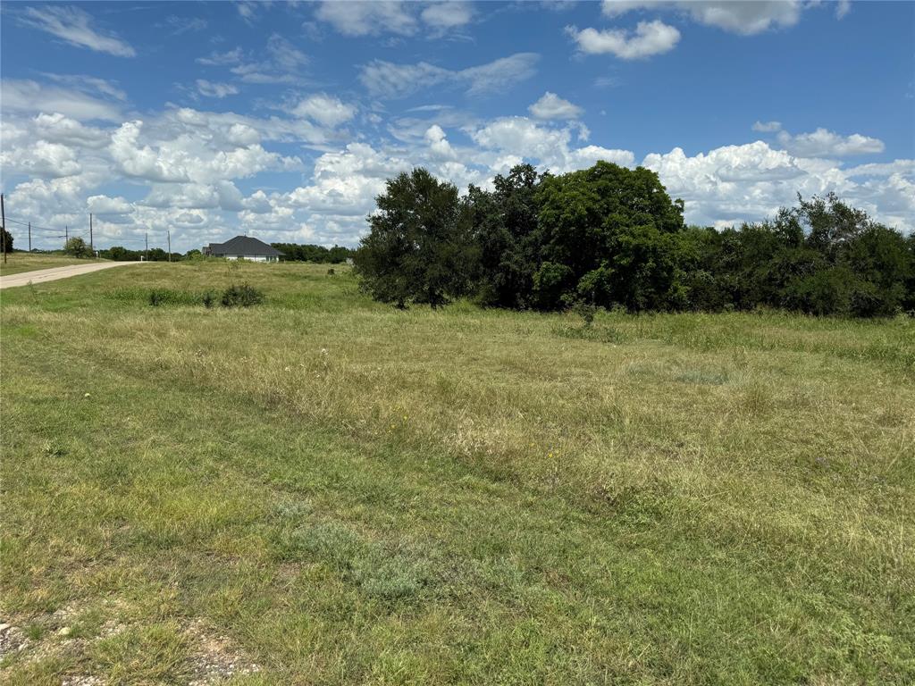 White Bluff #19 - Land