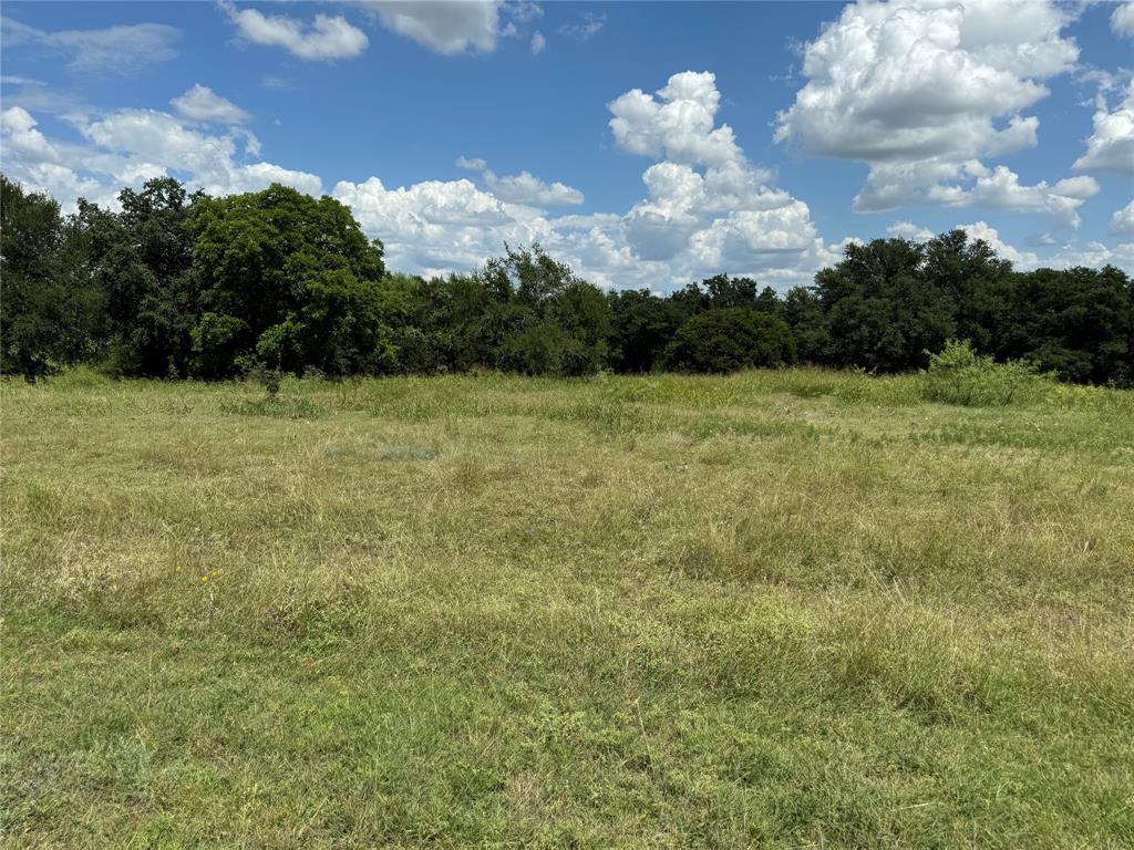 White Bluff #19 - Land