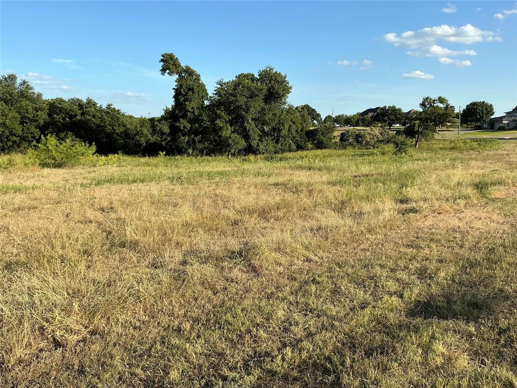 White Bluff #19 - Land