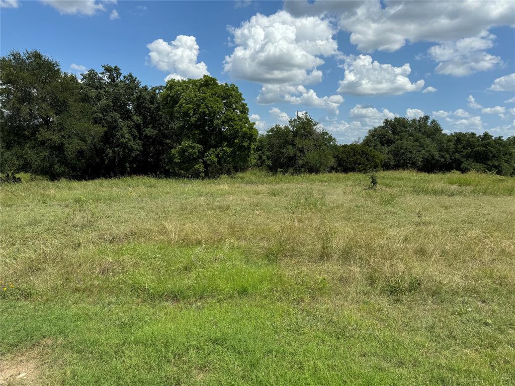 White Bluff #19 - Land