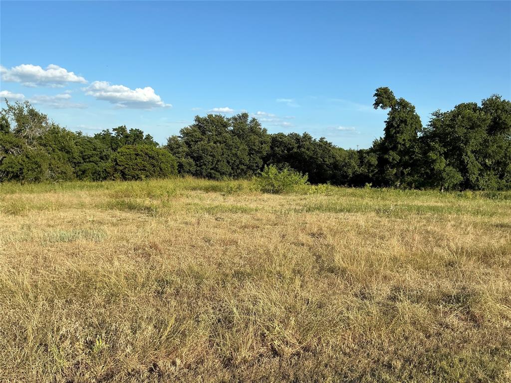 White Bluff #19 - Land