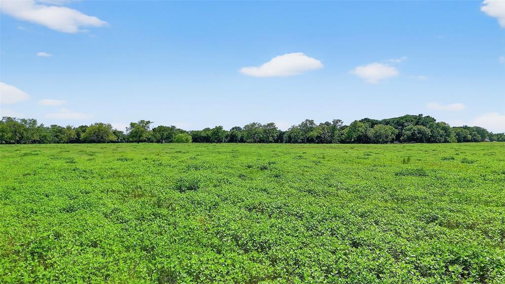 EAKES HEZEKIAH - Land