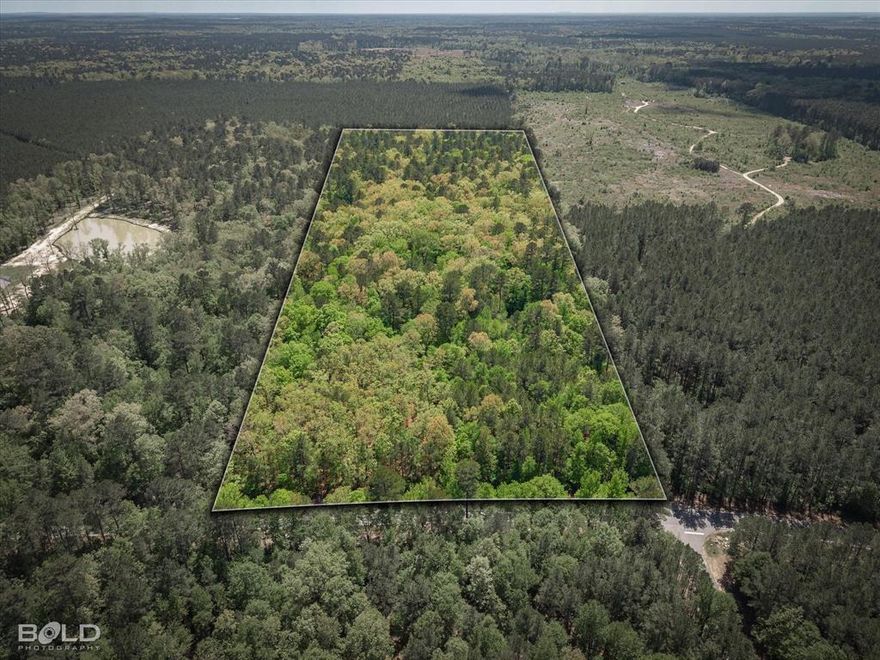 Rare opportunity to own 29.068 gorgeous, unimproved acres in the highly sought-after Benton School District. Whether you’re dreaming of a private estate or a multi-family compound, this expansive property offers the perfect canvas to build your dream home (and a second one for family!). Enjoy the peace of country living with the convenience of being just minutes from town. The land is beautifully wooded, offering natural privacy and serene views, and includes 435.91 feet of highway frontage with no known restrictions. A professional survey is already on file, making your planning process even easier. Located on the south side of Hwy 160—a rare find with endless potential for your future homesite!