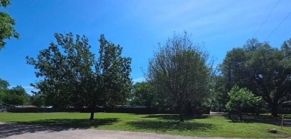 HOWARD ST, TEAGUE, TX 75860 - Image cd16e7dd7468341f84d1df97619b9ec9/1262860372