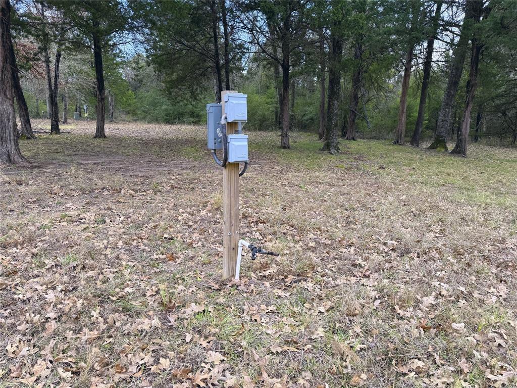 The Wilderness - Land