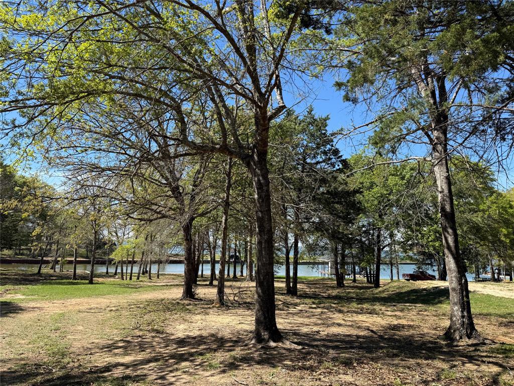 The Wilderness - Land