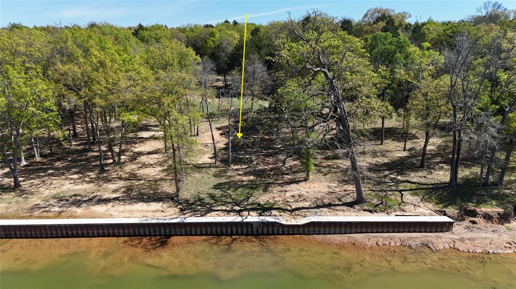 The Wilderness - Land