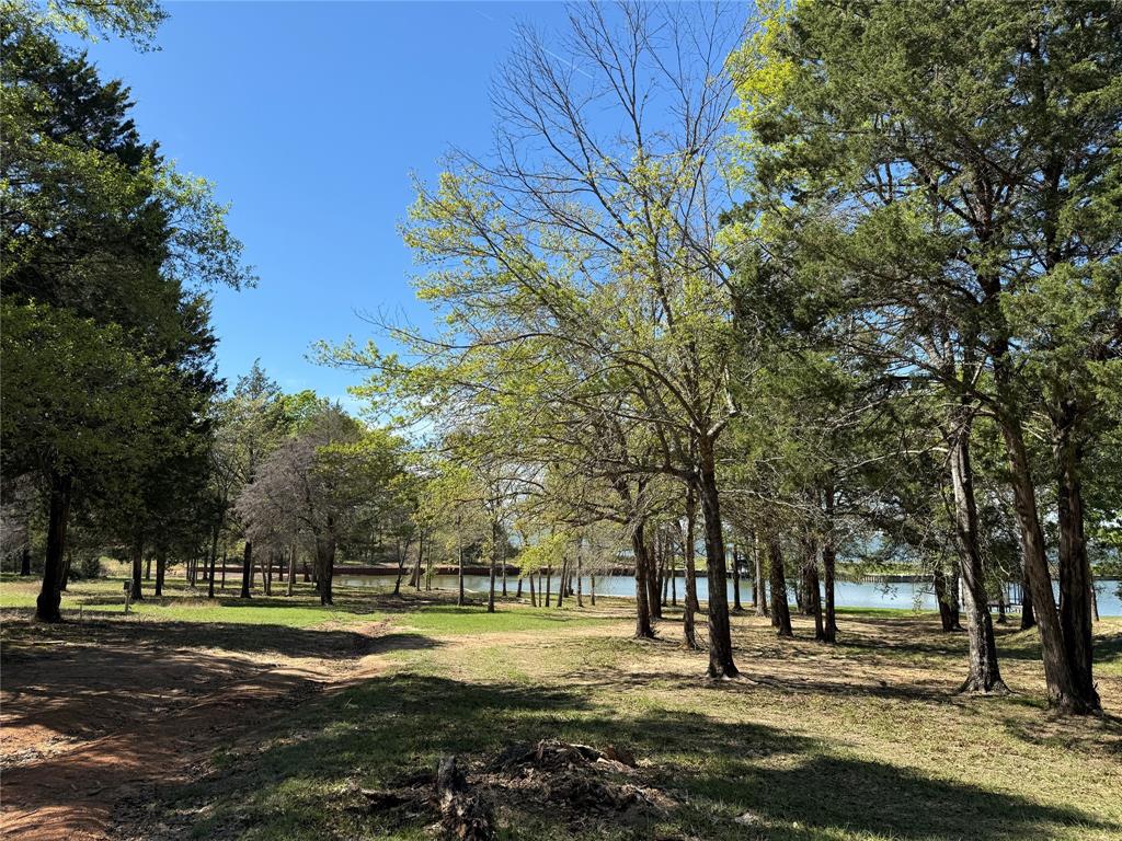 The Wilderness - Land