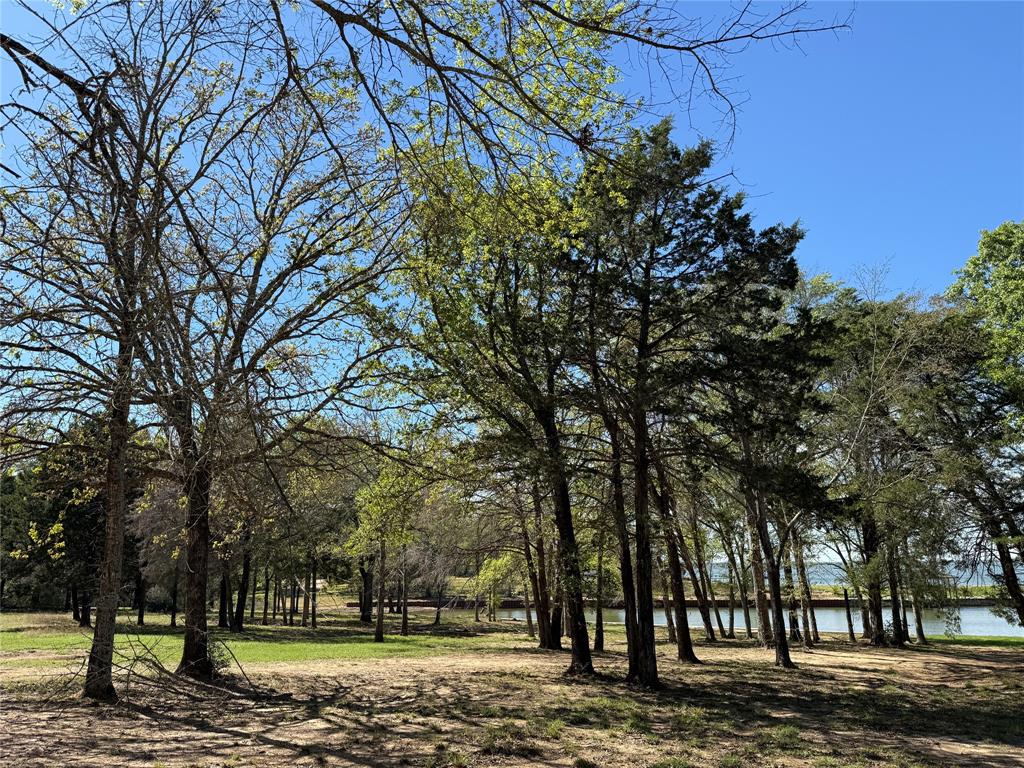 The Wilderness - Land