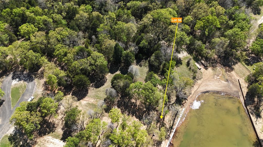 The Wilderness - Land