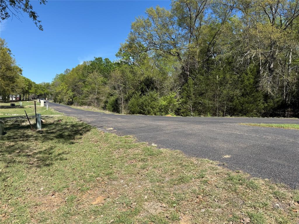 The Wilderness - Land