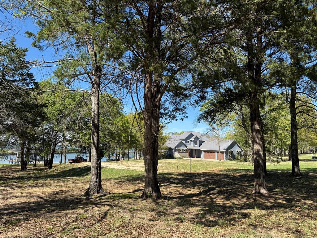 The Wilderness - Land