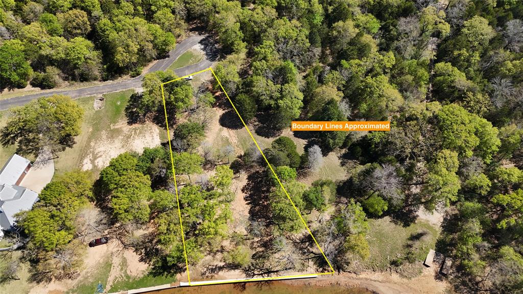 The Wilderness - Land