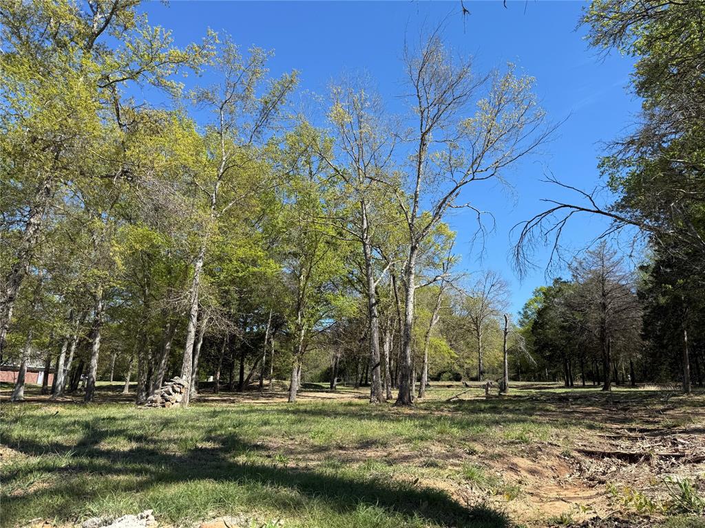 The Wilderness - Land