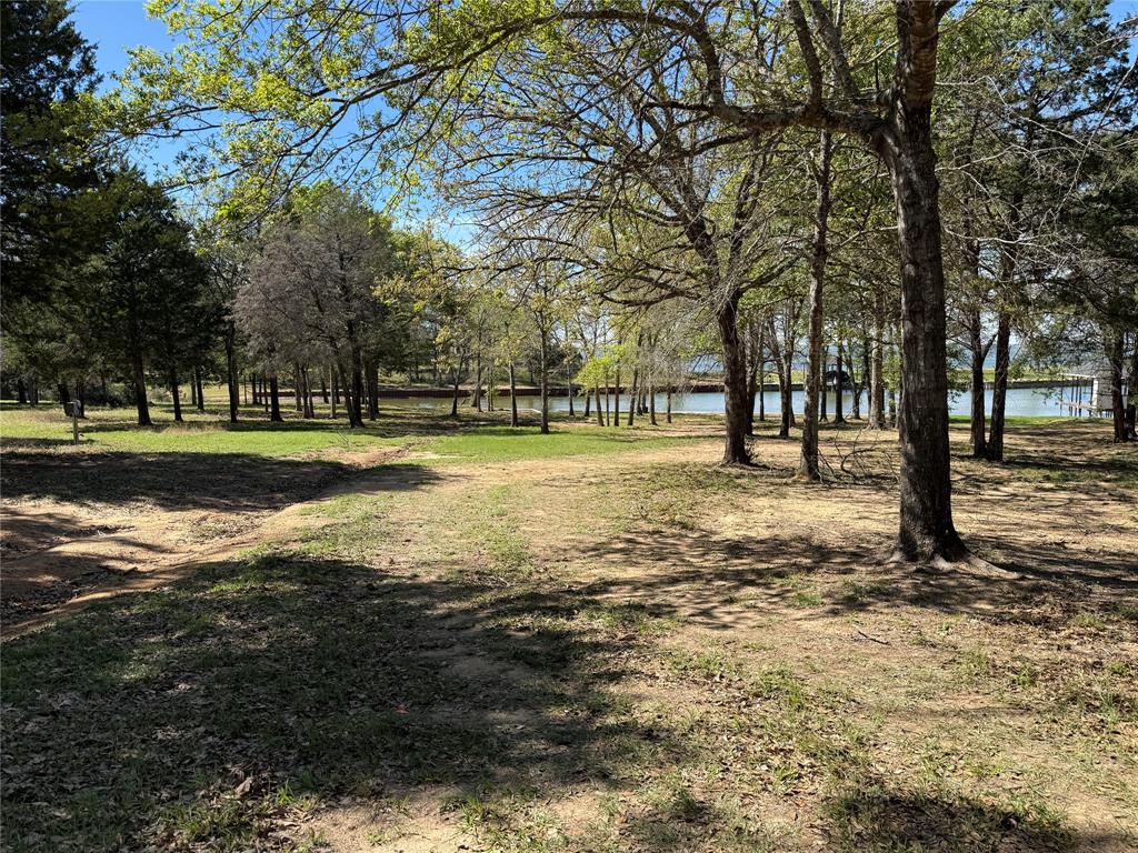 The Wilderness - Land