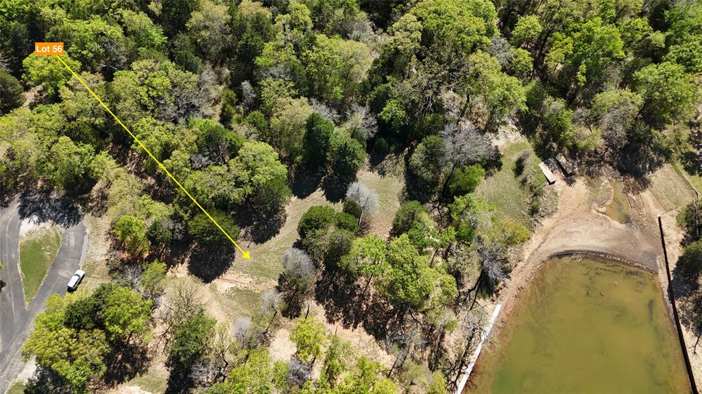 The Wilderness - Land