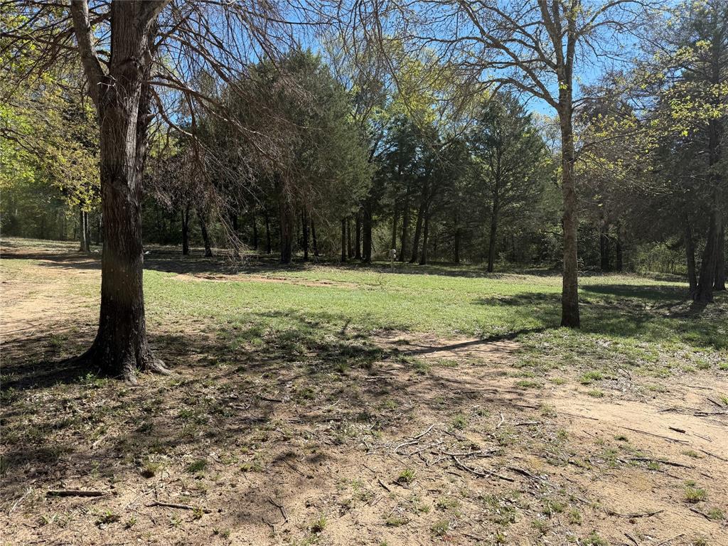 The Wilderness - Land