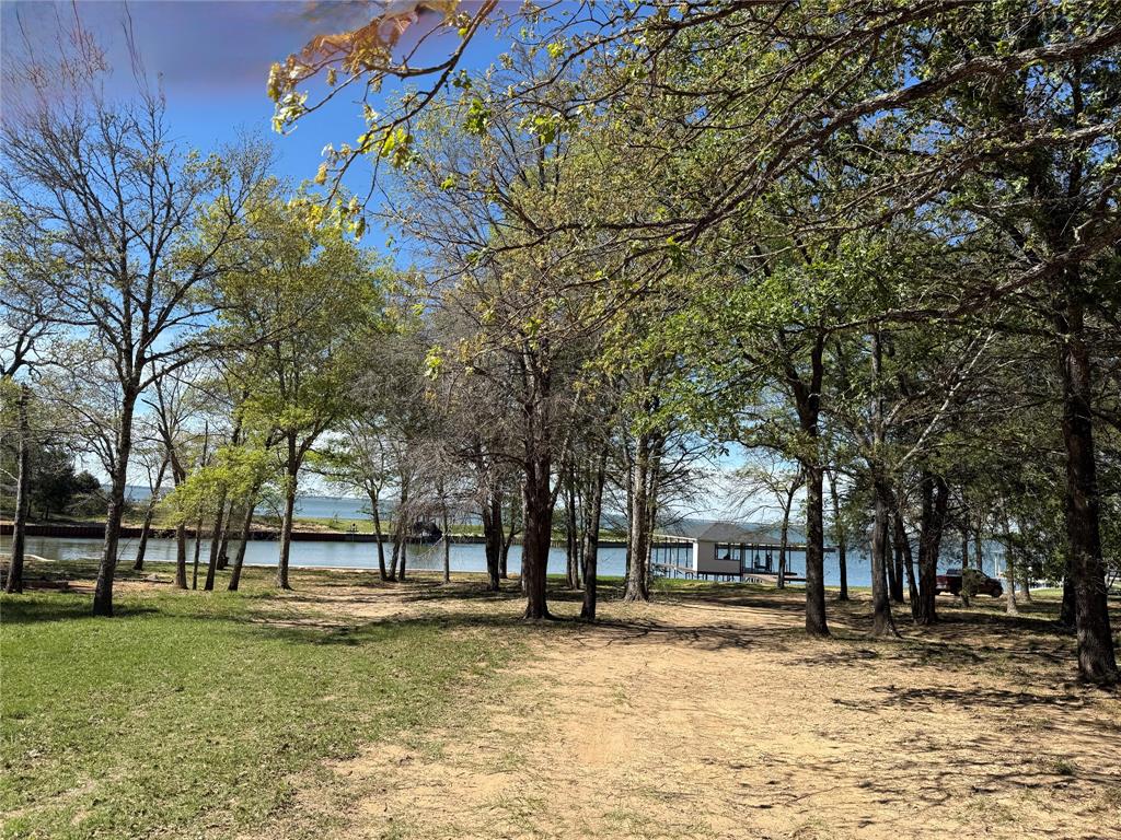 The Wilderness - Land