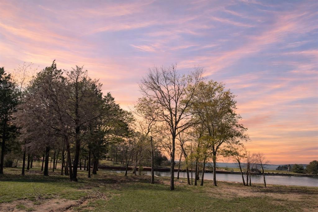 The Wilderness - Land