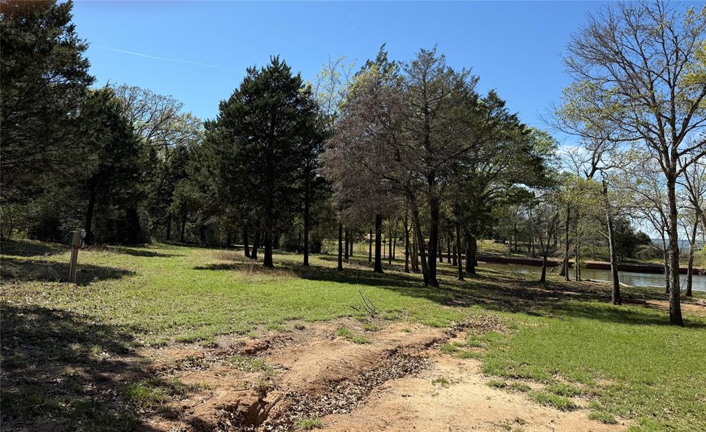 The Wilderness - Land