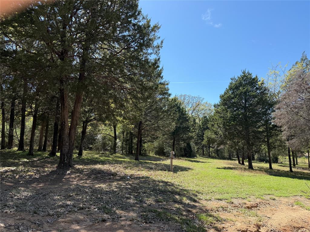 The Wilderness - Land