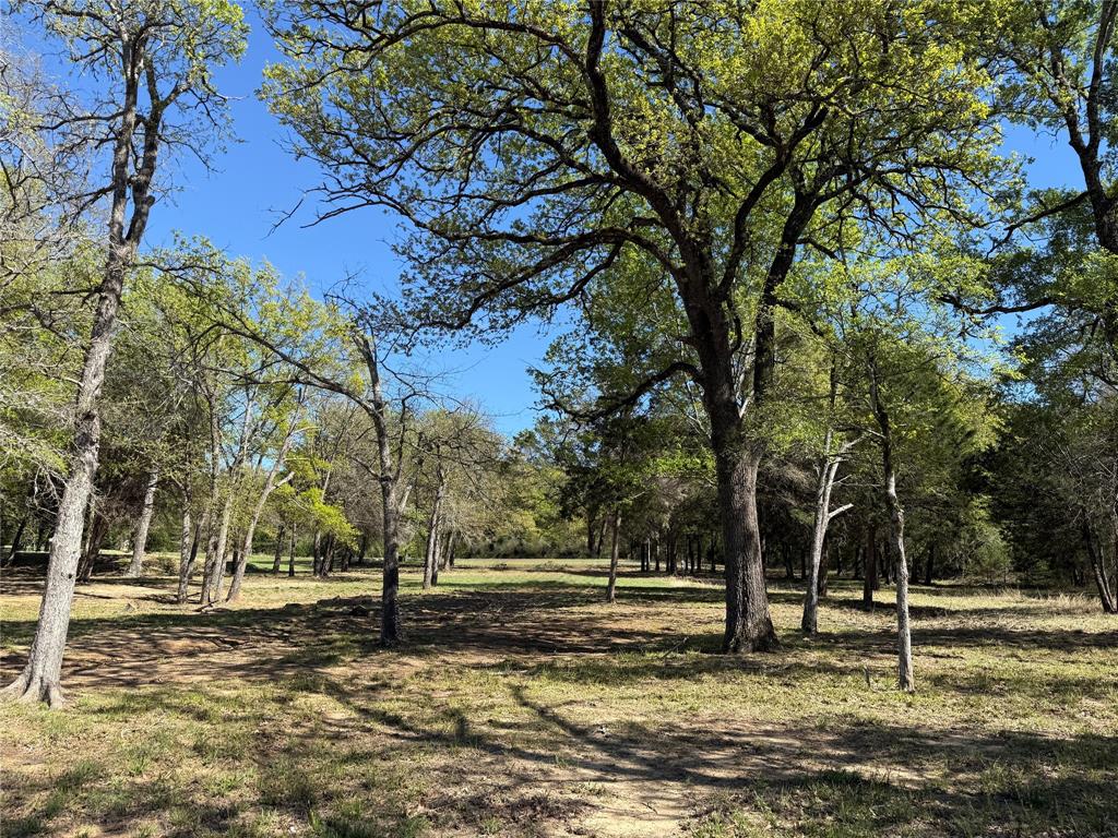 The Wilderness - Land